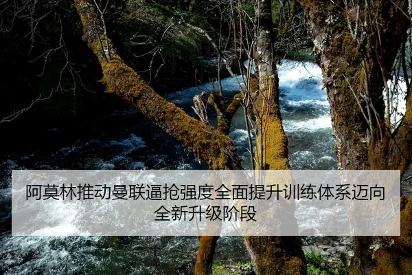 阿莫林推动曼联逼抢强度全面提升训练体系迈向全新升级阶段
